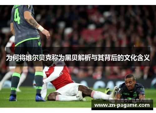 为何将维尔贝克称为黑贝解析与其背后的文化含义 为何将维尔贝克称为黑贝解析与其背后的文化含义