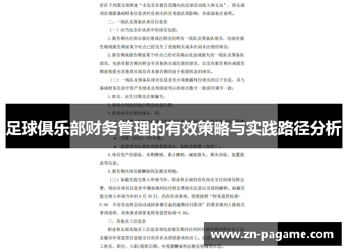 足球俱乐部财务管理的有效策略与实践路径分析